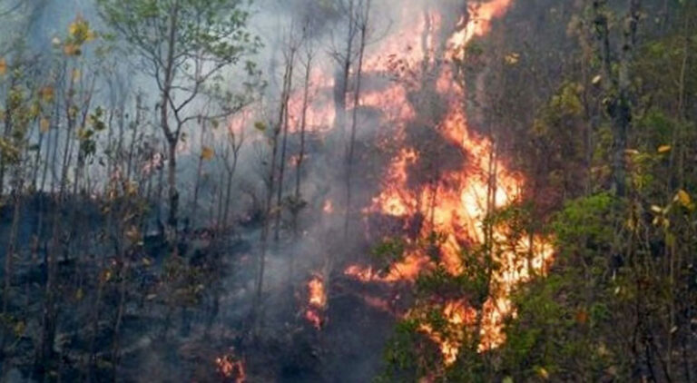 डढेलो निभाउने क्रममा गुल्मीमा एक बालको मृत्यु, एक घम्भीर घाइते