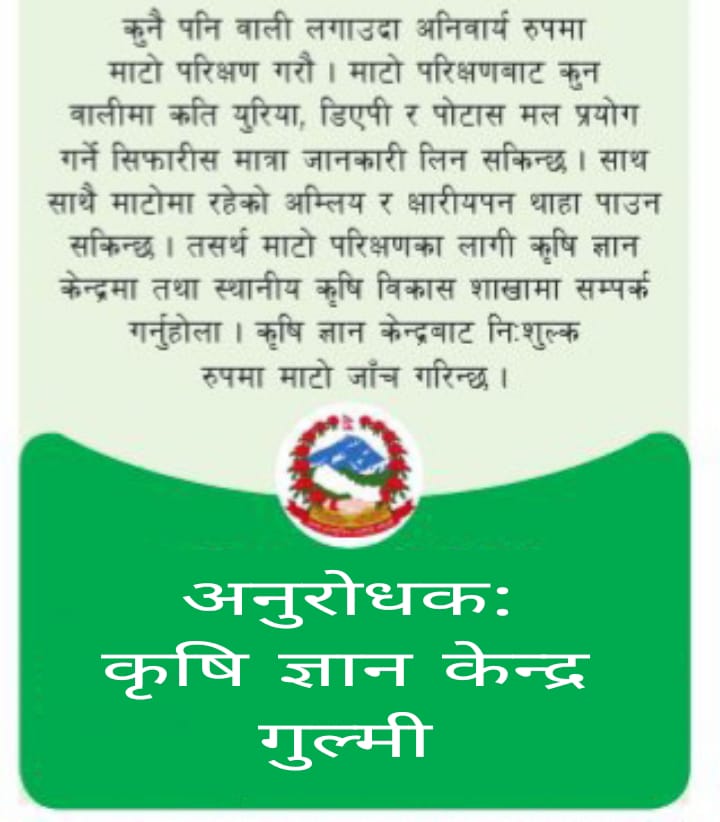 अनुराेधक ः कृषि ज्ञान केन्द्र गुल्मी 
